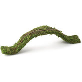 Fresh Green Flexible Terrarium Bridge-Southern Agriculture