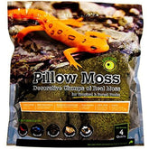 Fresh Green Pillow Moss - 4 pack-Southern Agriculture