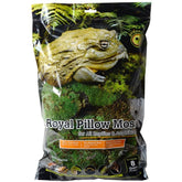 Fresh Green Royal Pillow Moss-Southern Agriculture