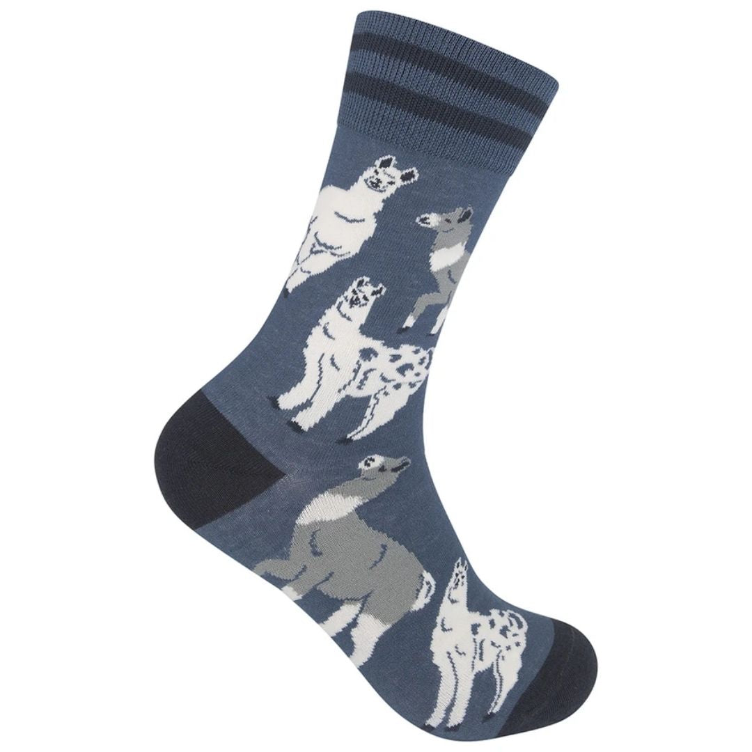 Llama Socks-Southern Agriculture