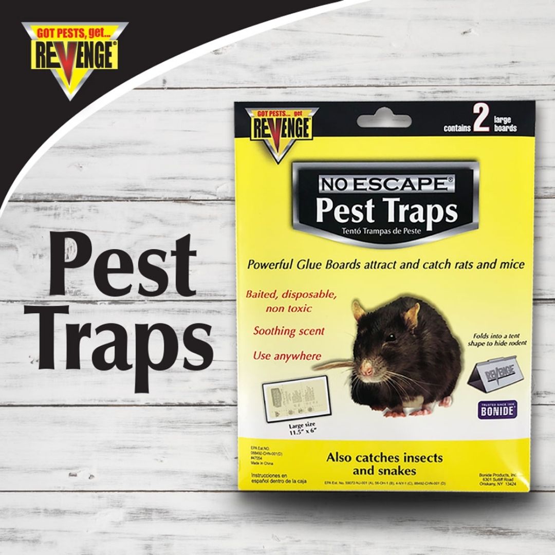 Bonide - Rat Trap Glue Traps-Southern Agriculture