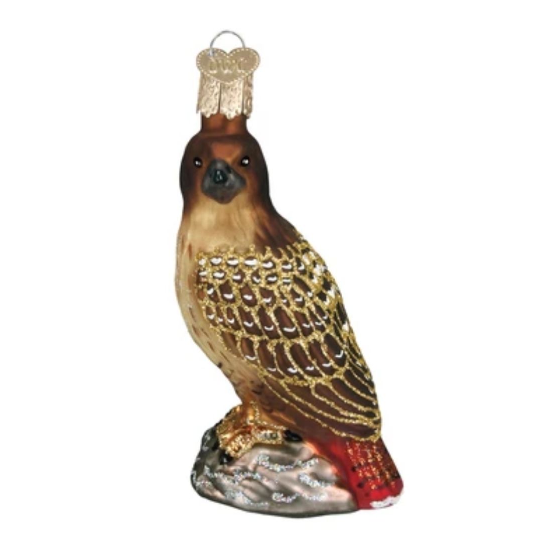 Old World Christmas - Red-tailed Hawk Ornament-Southern Agriculture