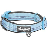 Baby Blue | 3M Reflective Padded Dog Collar