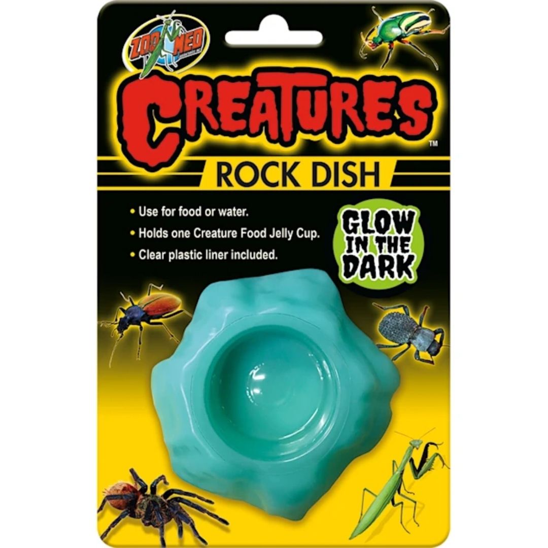 Creatures Glow in the Dark Rock Dish