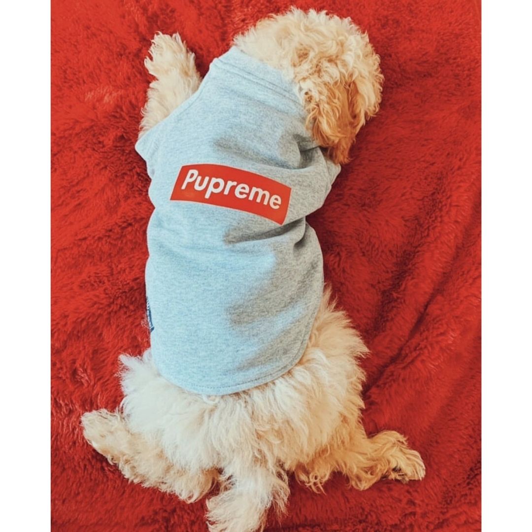 Woof Good Pupreme Dog Hoodie