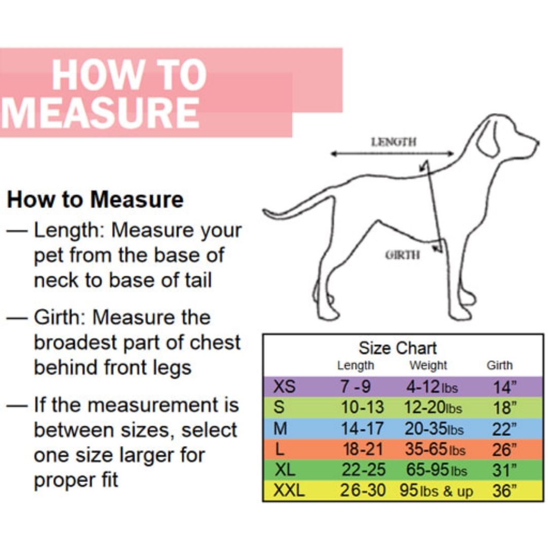 Eddie Bauer PET Broadview Brushed Acrylic Vest with Solid Yoke