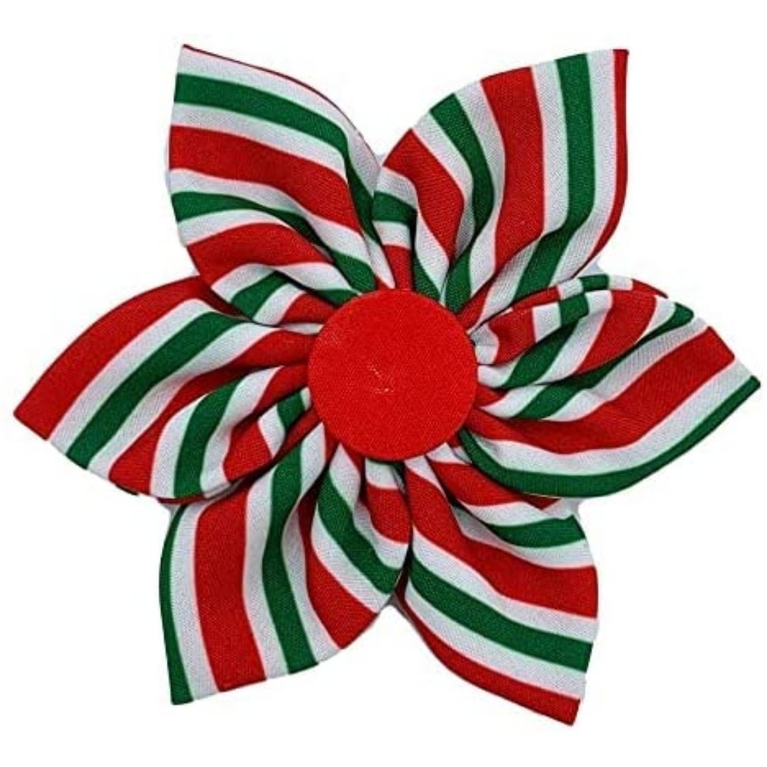 Huxley & Kent - Pinwheel Peppermint Stripe