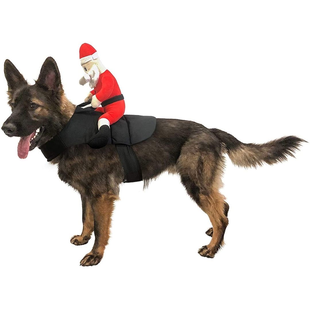 Midlee - Santa Claus Jockey Dog Costume