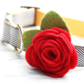 Mimi Green - Dog Collar Rose Flower Attachment