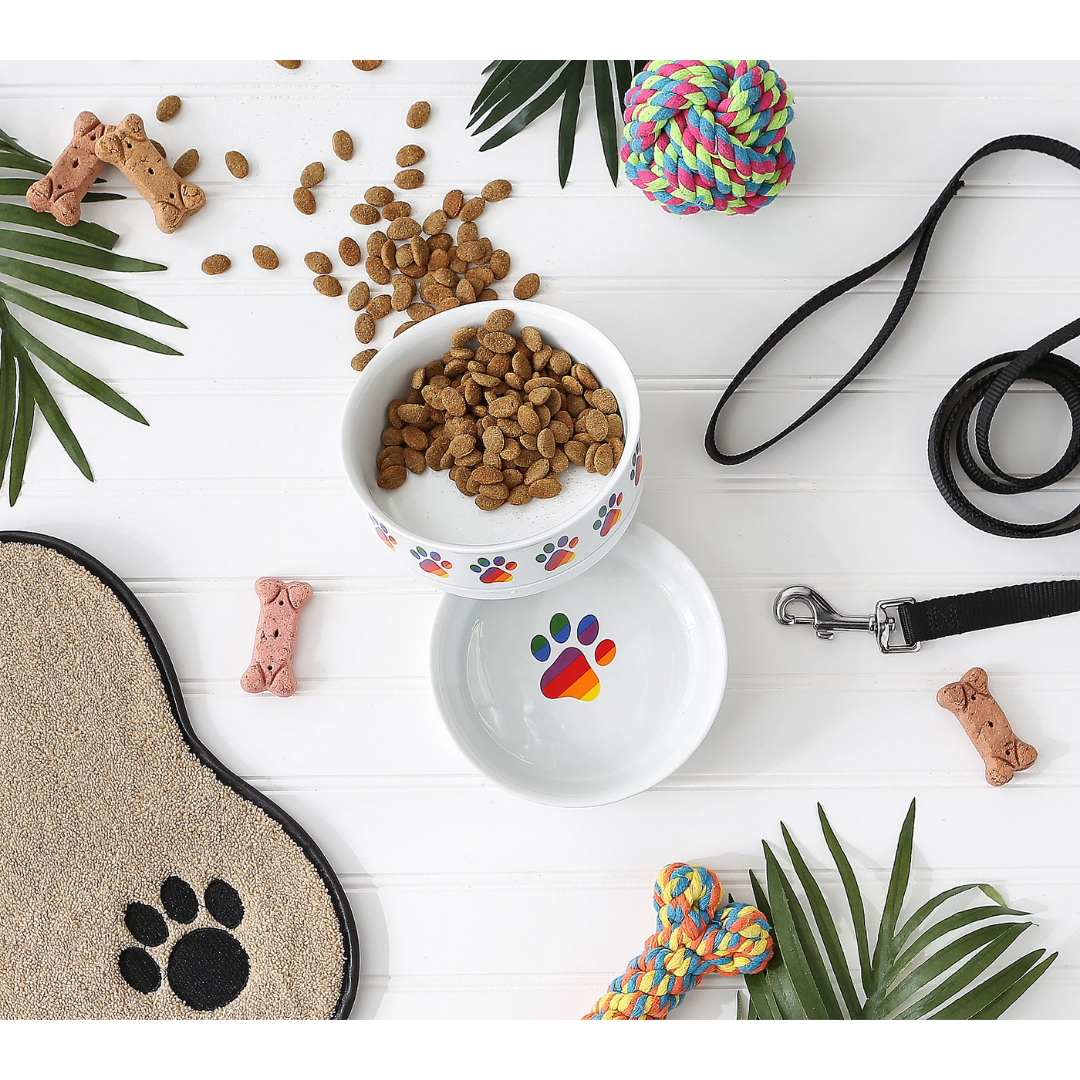 Bone Dry - Rainbow Paw Ceramic Pet Bowl