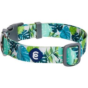 Bahamas Vacation Palm Leaves Dog Collar