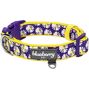 Daisy | Neoprene Padded Dog Collar