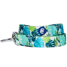 Blueberry Pet Bahamas Vacation Dog Leash