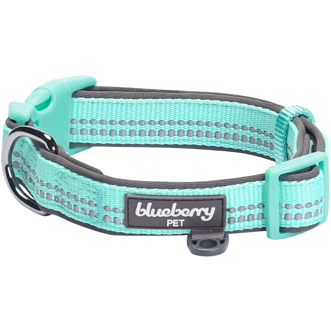 Pastel Mint Blue | 3M Reflective Neoprene Padded Dog Collar