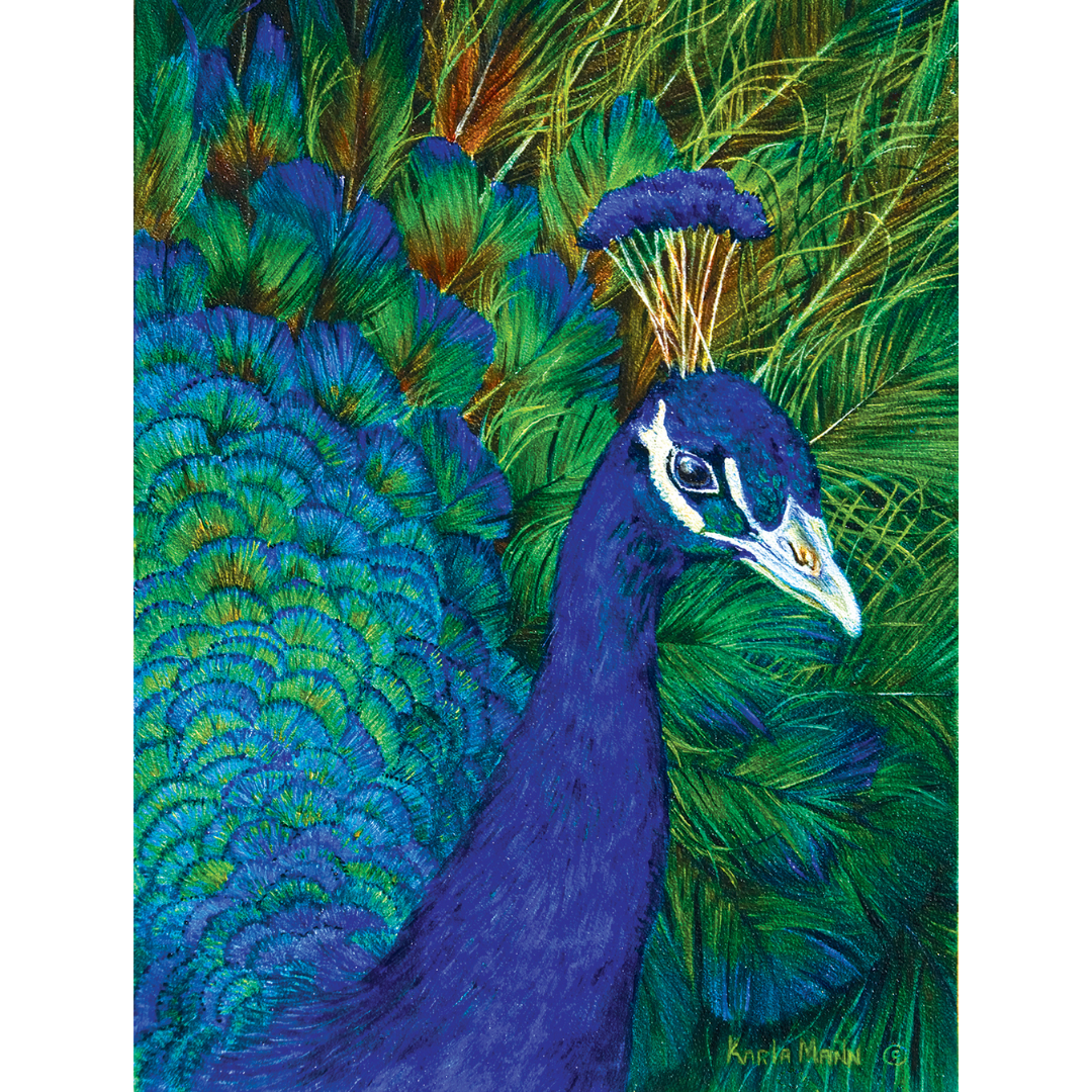 Peacock Puzzle