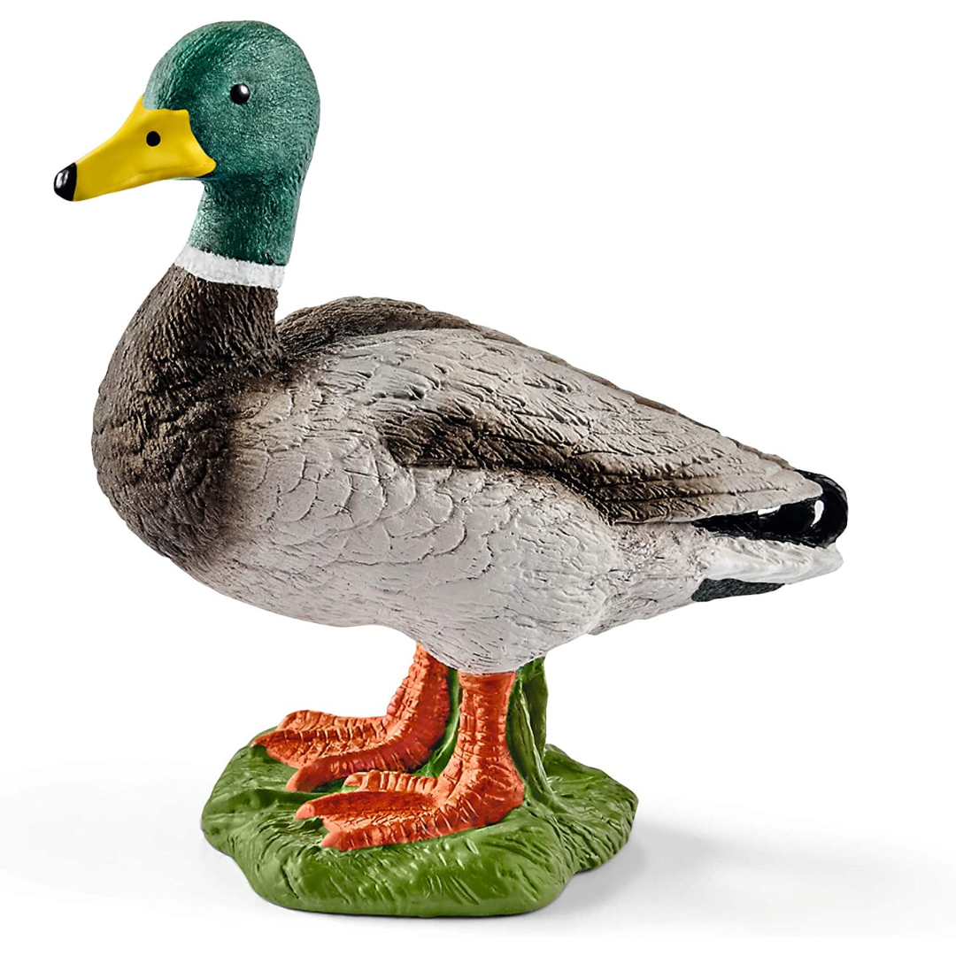 Schleich - Drake Mallard Duck