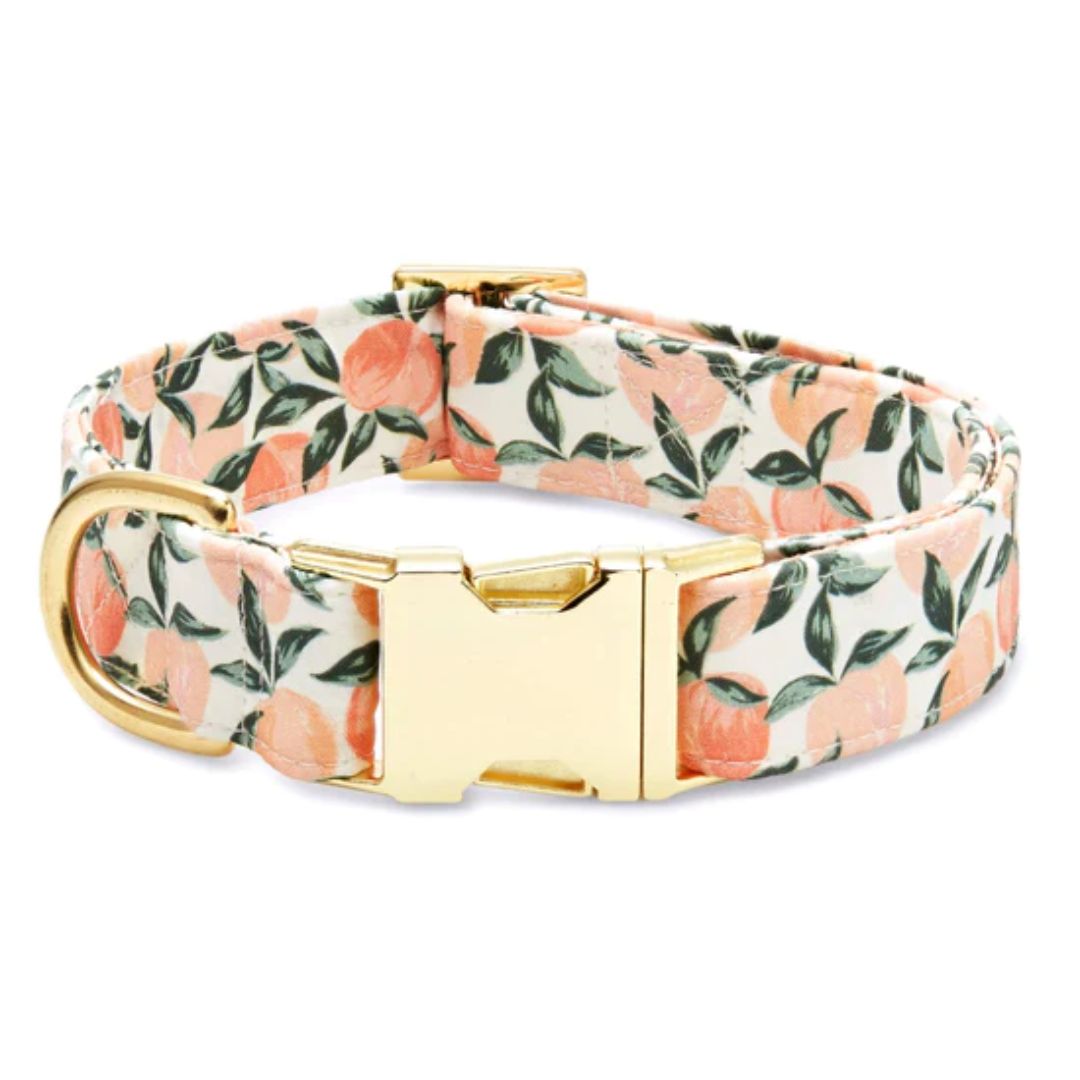 Peaches and Cream Dog Collar