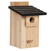 Bluebird Box House w/Viewing Window