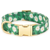 Foggy Dog - Dog Collar Coming Up Daisies