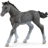 Schleich - Trakehner Foal