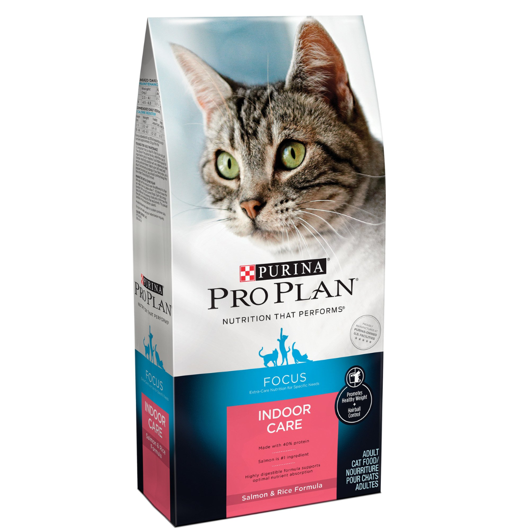 Focus Indoor Salmon & Rice Dry Cat Food