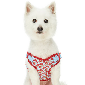 Poppy | Floral Print Dog Harness Vest with Elegant Lace Trim