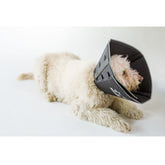 Comfy Cone E-Collar