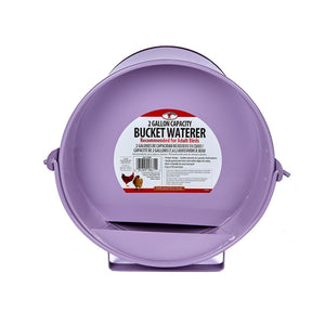 Painted Galvanized Bucket Waterer for Poultry