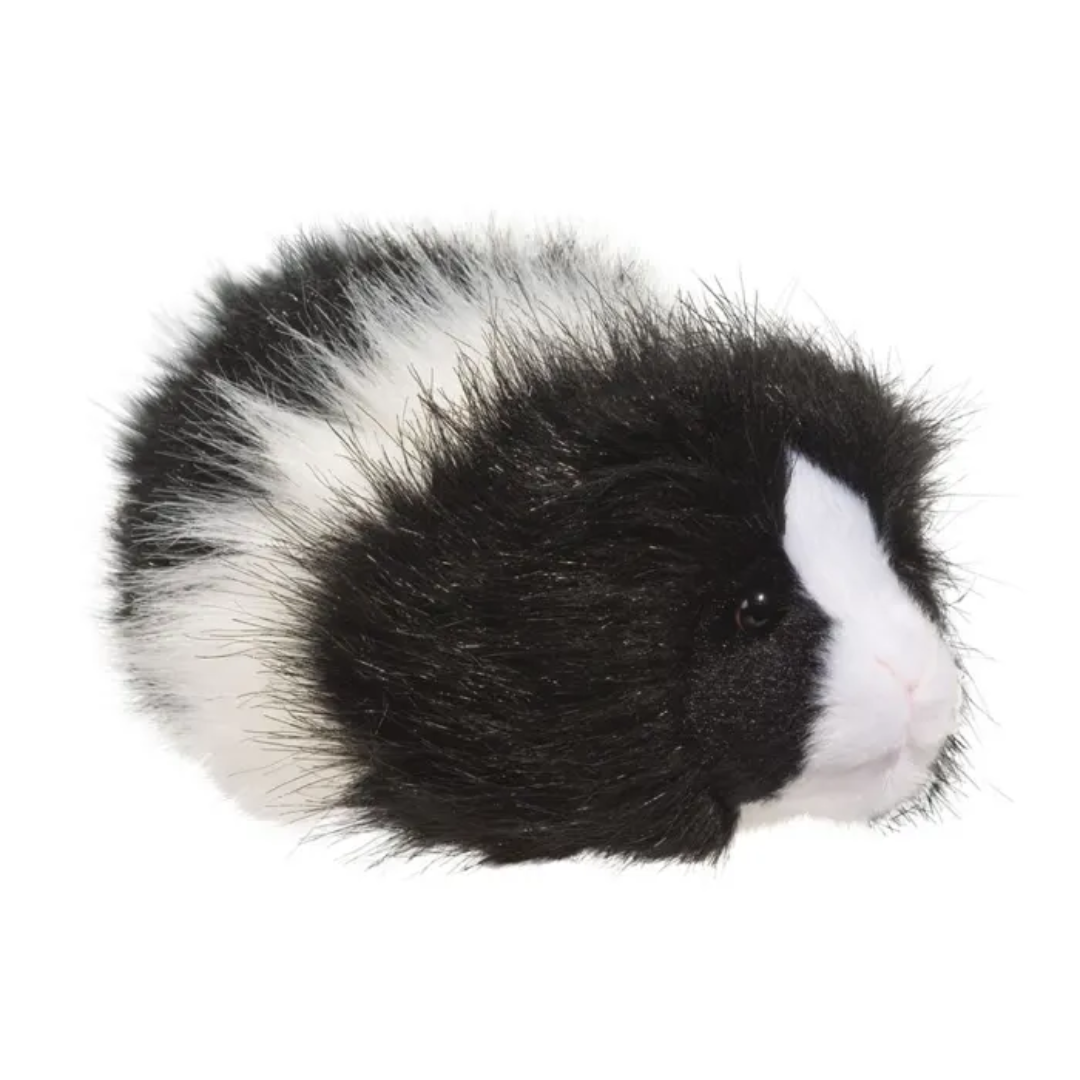 Plush Angora Guinea Pig