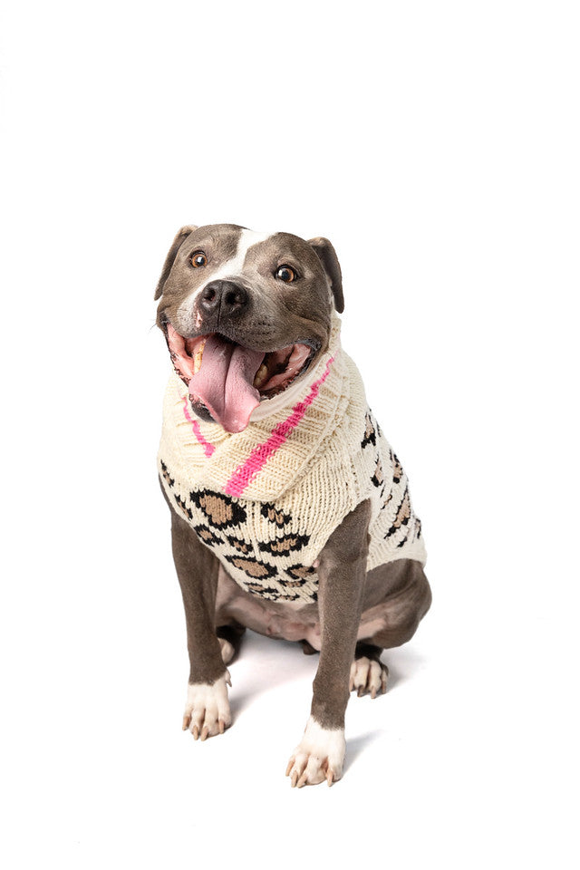 Chilly Dog - Dog Sweater Leopard