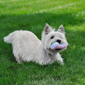 Coastal - Fleece Dog Toy