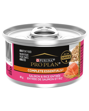 Purina Pro Plan - All Breeds, Adult Cat Salmon & Rice Entrée in Sauce Canned Cat Food-Southern Agriculture