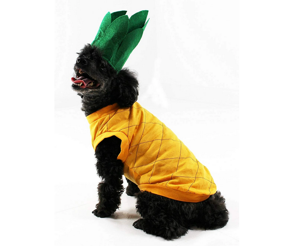 Pineapple Dog Costume-Southern Agriculture