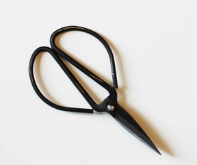 Forged Steel Fine Pruners-Southern Agriculture