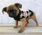 Dog Sweater Plaid Tan, Black and Red Tartan-Southern Agriculture