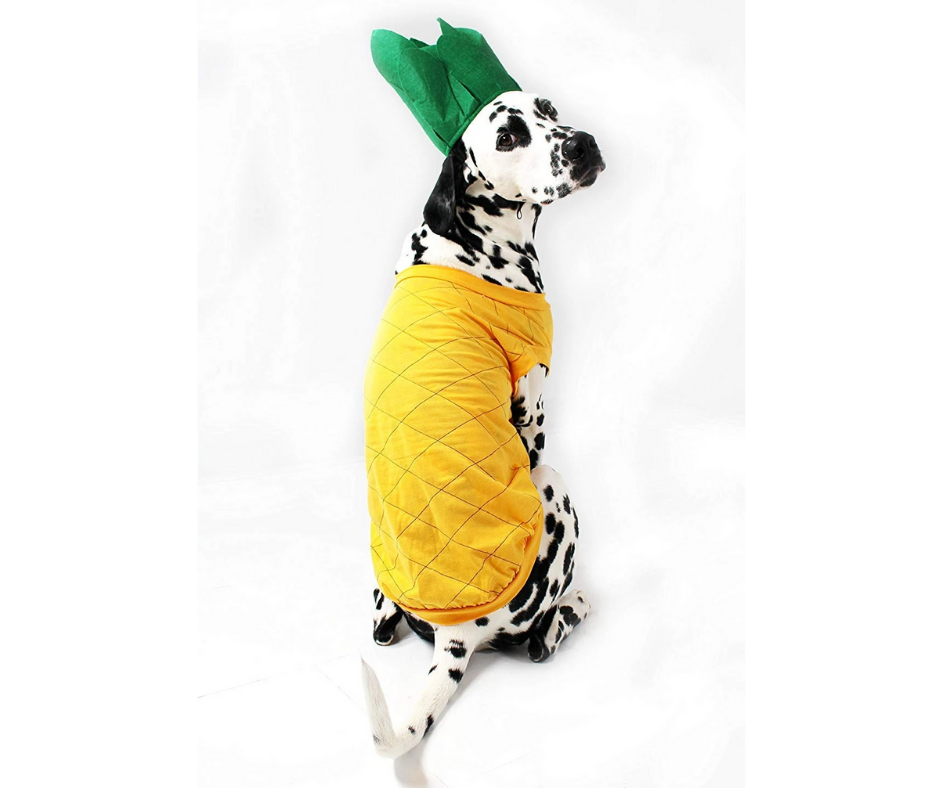 Pineapple Dog Costume-Southern Agriculture