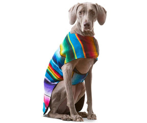 Baja Ponchos Handmade Dog Ponchos Blue-Southern Agriculture