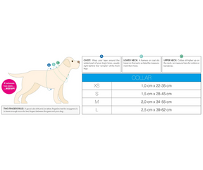 Max and Molly Smart ID Summertime Adjustable Dog Collar-Southern Agriculture