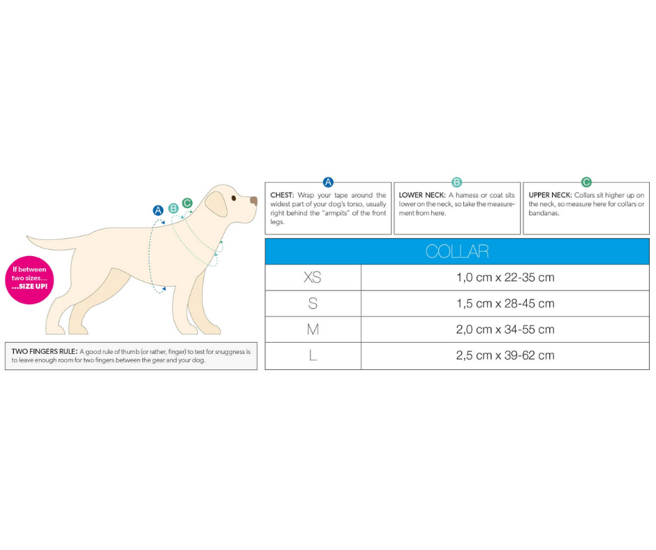 Max and Molly Smart ID Summertime Adjustable Dog Collar-Southern Agriculture