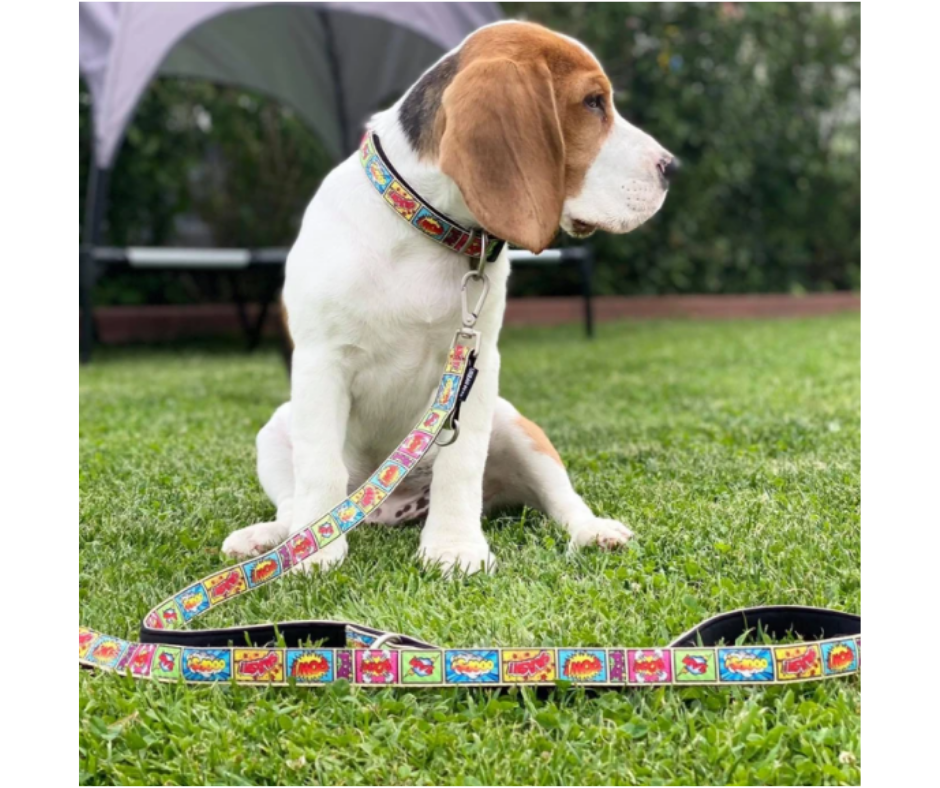 Max and Molly Smart ID Comic Adjustable Dog Collar-Southern Agriculture