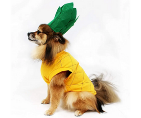 Pineapple Dog Costume-Southern Agriculture