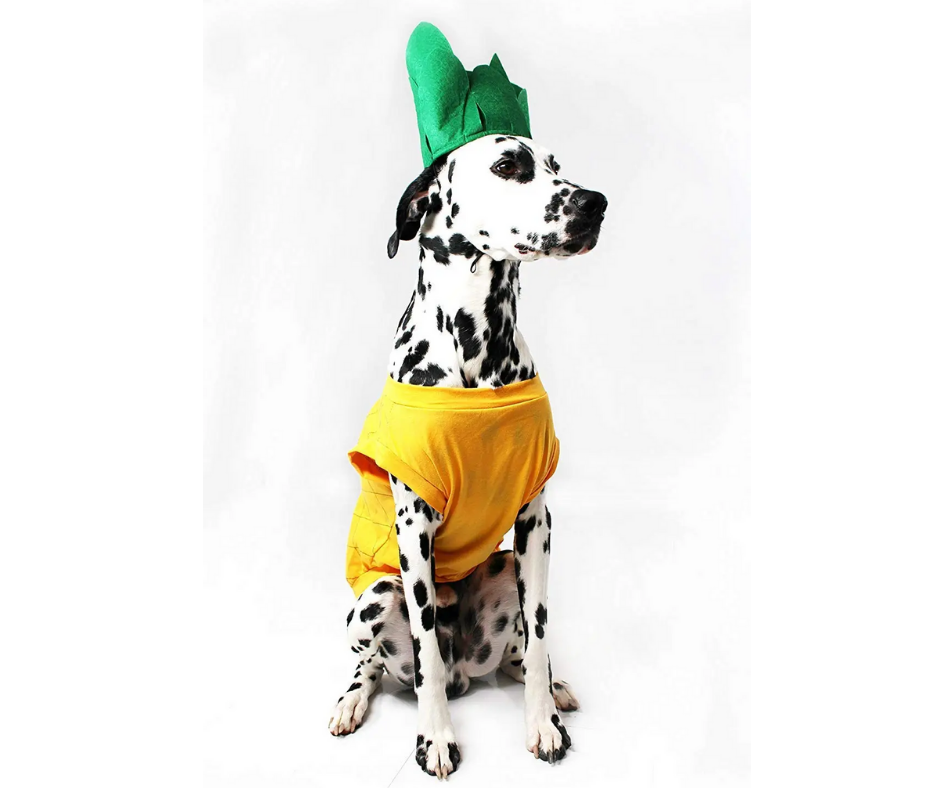 Pineapple Dog Costume-Southern Agriculture