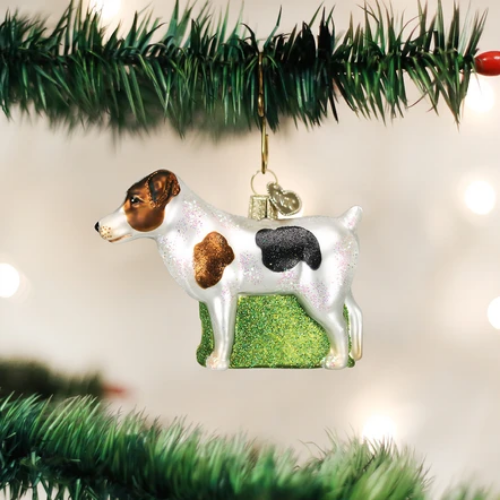 Old World Christmas Jack Russell Terrier Ornament-Southern Agriculture