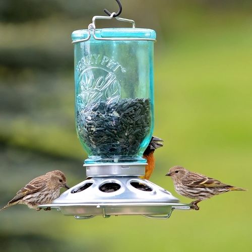 Perky Pet Mason Jar Bird Feeder-Southern Agriculture