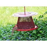 Perky Pet No/No Red Cardinal Bird Feeder-Southern Agriculture