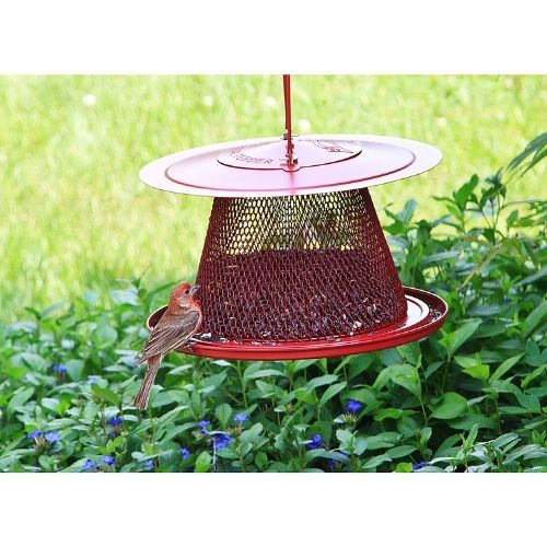 Perky Pet No/No Red Cardinal Bird Feeder-Southern Agriculture