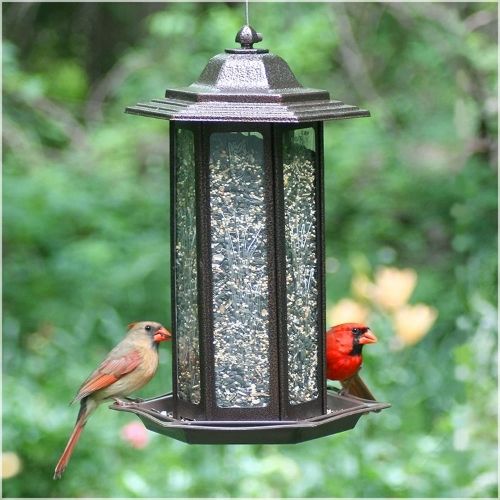 Perky Pet Tall Tulip Garden Lantern Bird Feeder-Southern Agriculture