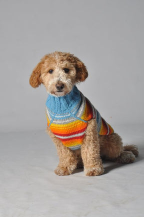 Chilly Dog - Dog Sweater Turquoise Serape