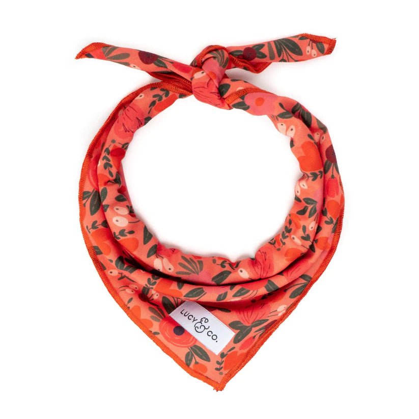 Lucy & Co - Bandana Posy Pink