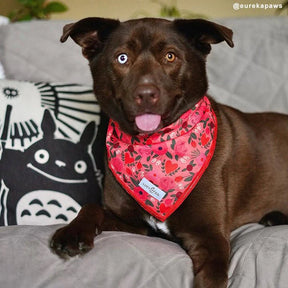 Lucy & Co - Bandana Posy Pink